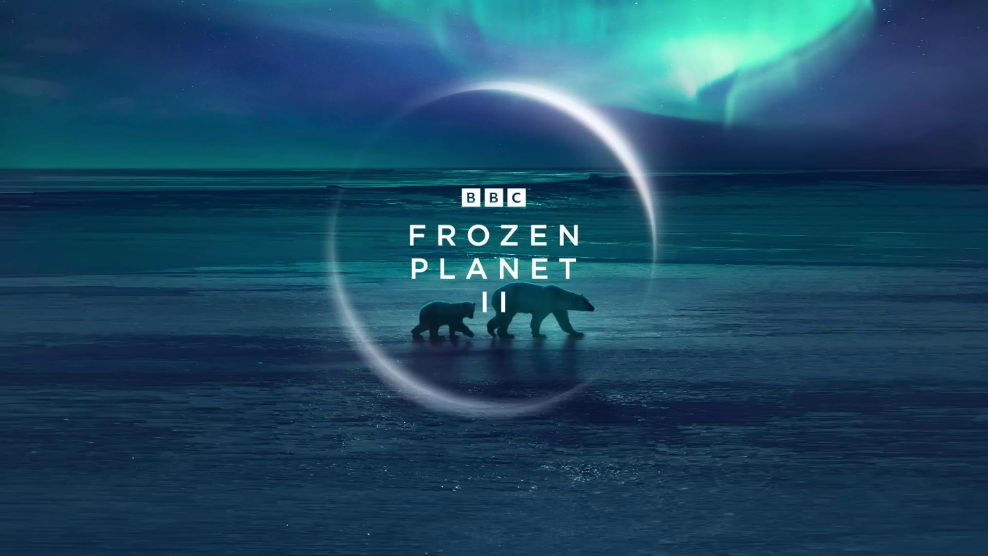 the frozen planet logo with a polar bear in the middle bbc earth bbc promotional artwork promotional image promo image promotional poster pillars of ice background promotional images official artwork channel 4 ice planet promotional movie poster official poster bbc documentary movie promotional image promotional render promotional poster art promo poster greta thunberg