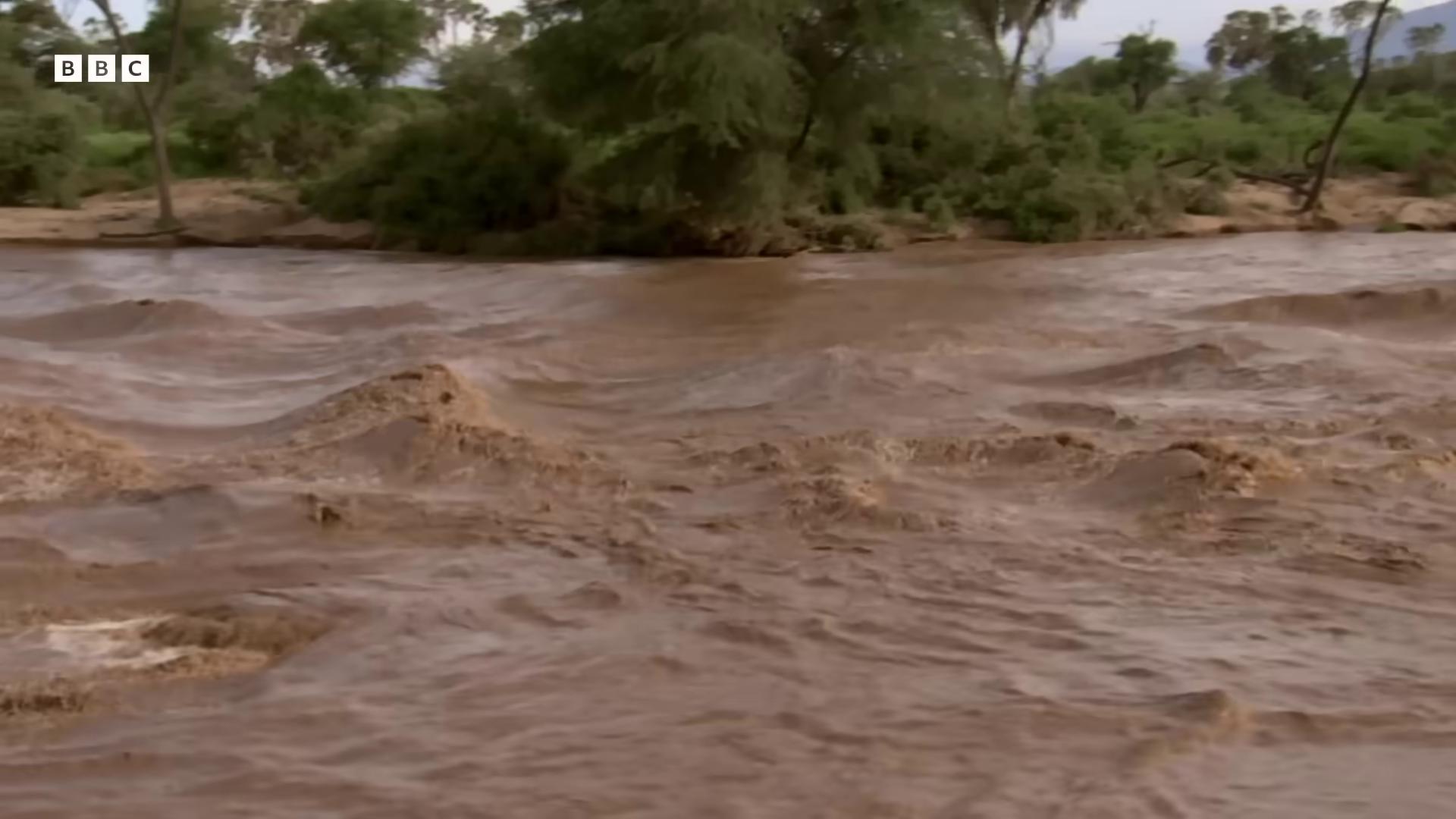 a river is seen in the middle of the town of santa feli mexico subsiding floodwaters in an african river floods nile river environment flooding the river is flowing its way alien planet covered in water chocolate river floodplains flood rainfall and mud water levels flooded ground how a river massive river water everywhere