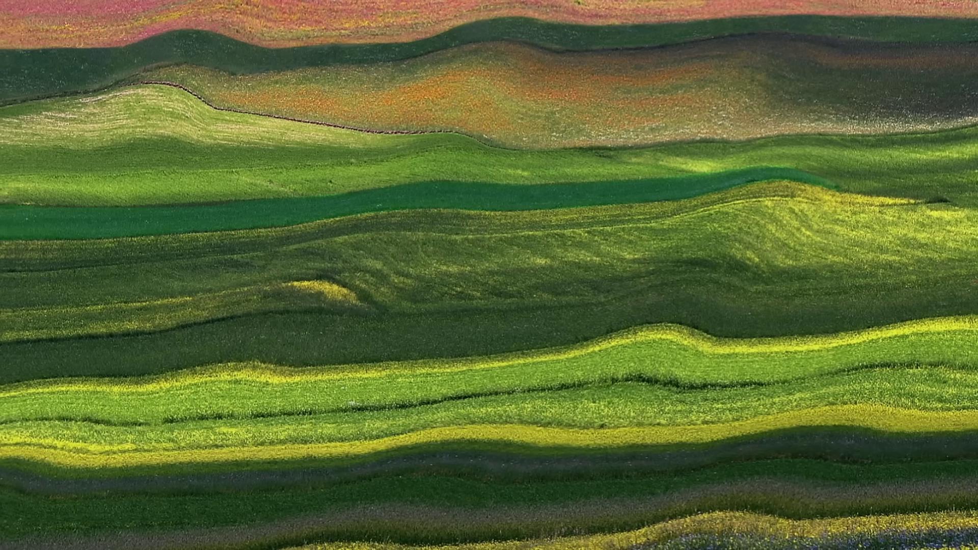 a field of flowers in the mountains color field painting 8k color field painting mythical floral hills an aesthetic field of flowers color field abstract nature landscape windows xp bliss wallpaper detailed fields nature windows xp background digital graffiti landscape flower fields psychedelic landscape vivid abstract landscape fields of flowers rolling green hills abstract landscape