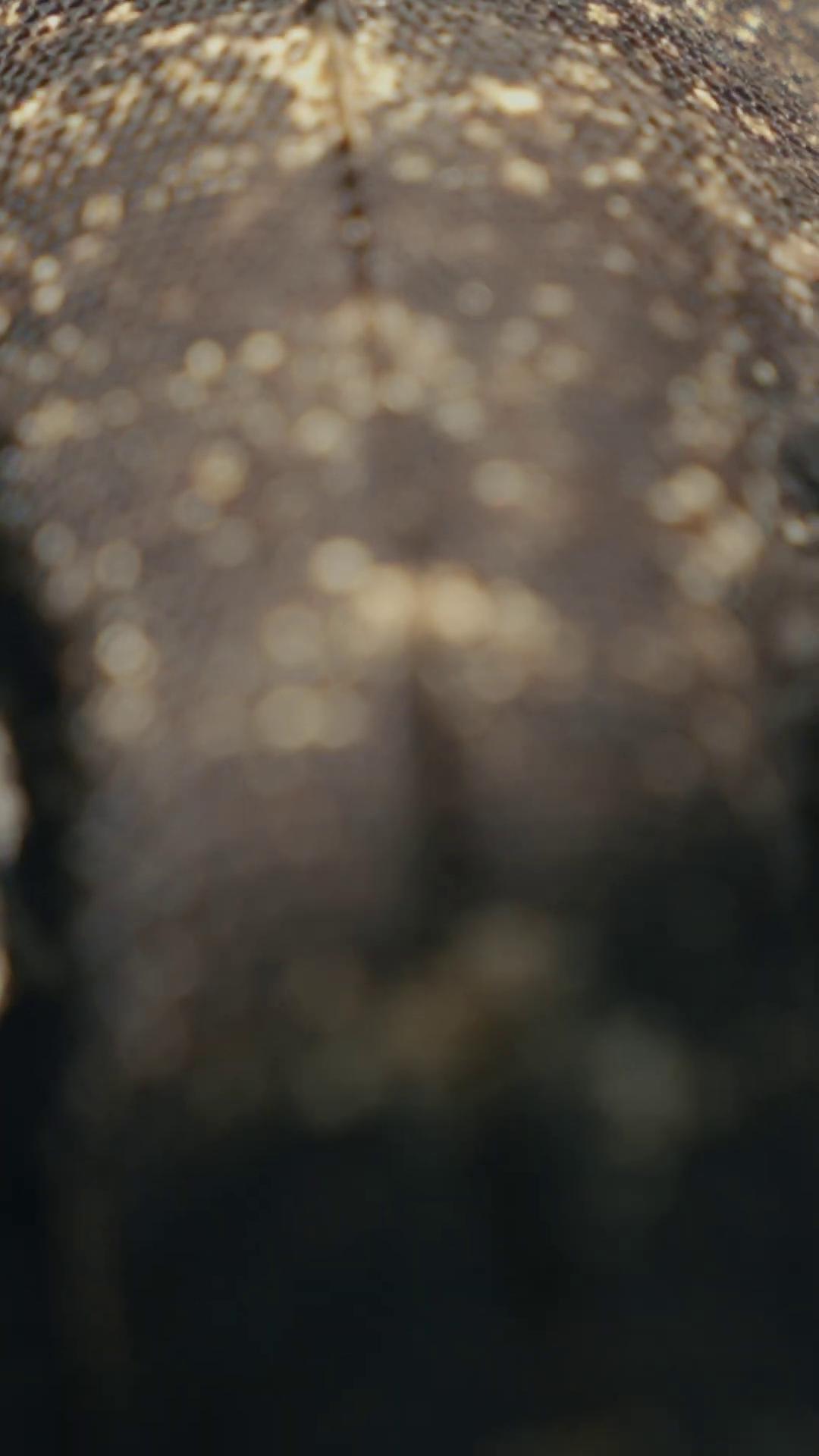 a close up of a piece of wood vfx film closeup still from nature documentary still from a nature documentary close up shot of an amulet blue ray screenshot black tar particles still from a music video movie grain movie screenshot terrence malick screenshots 4 k film still film still of kermit the frog still frame from a movie