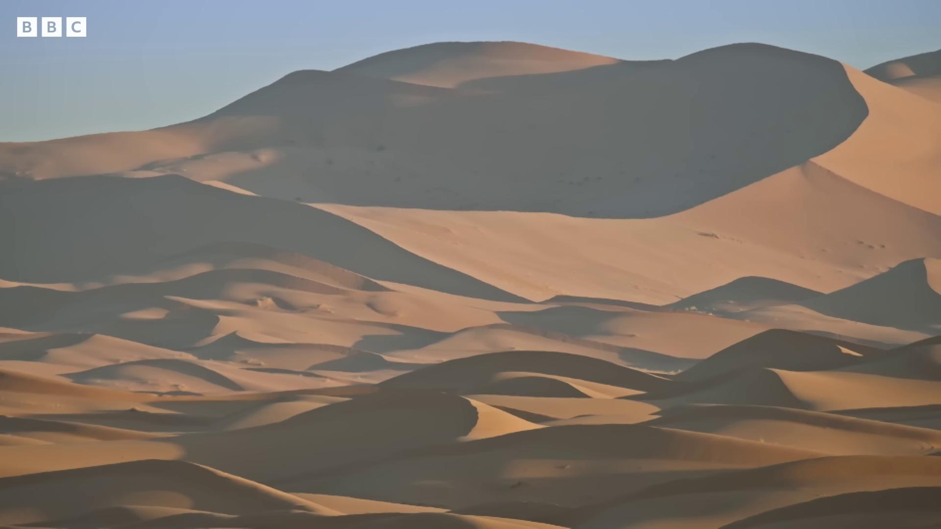 sand dunes in the sahara barren sands cinematic silk road lanscape barren desert landscape sand dune background background sand dunes sand desert tilt shift desert background deserted sand blowing sands empty desert sahara desert deep golden sand desert barren landscape sand and desert environment dark desert background film still from movie dune2021