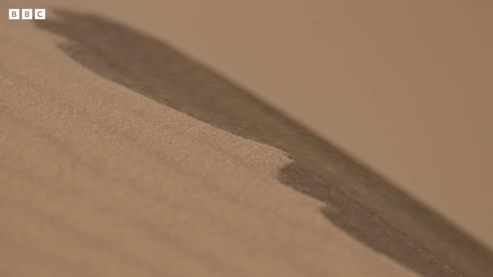 a close up of a piece of cardboard extremely detailed sand levitating sand floating spiral sand sand swirling smooth surface render 3d clay render 3 d clay render sand particles sand texture tilt shift desert background simulation of water splashes clay render texture of sand smooth brushwork hand drawn animation