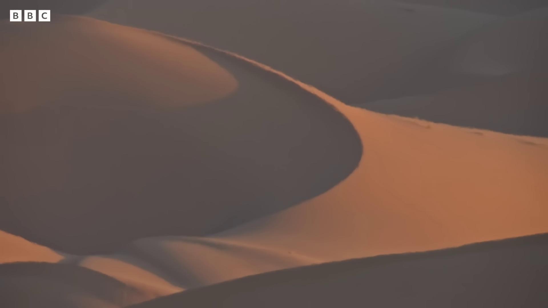 a desert with sand dunes and a small hill cinematic silk road lanscape barren sands sahara desert deep golden sand desert majestic dunes desert dunes sand dune background sand desert background sand dunes film still from movie dune2021 still from movie dune blowing sands desert deserted sand serene desert setting desert photography