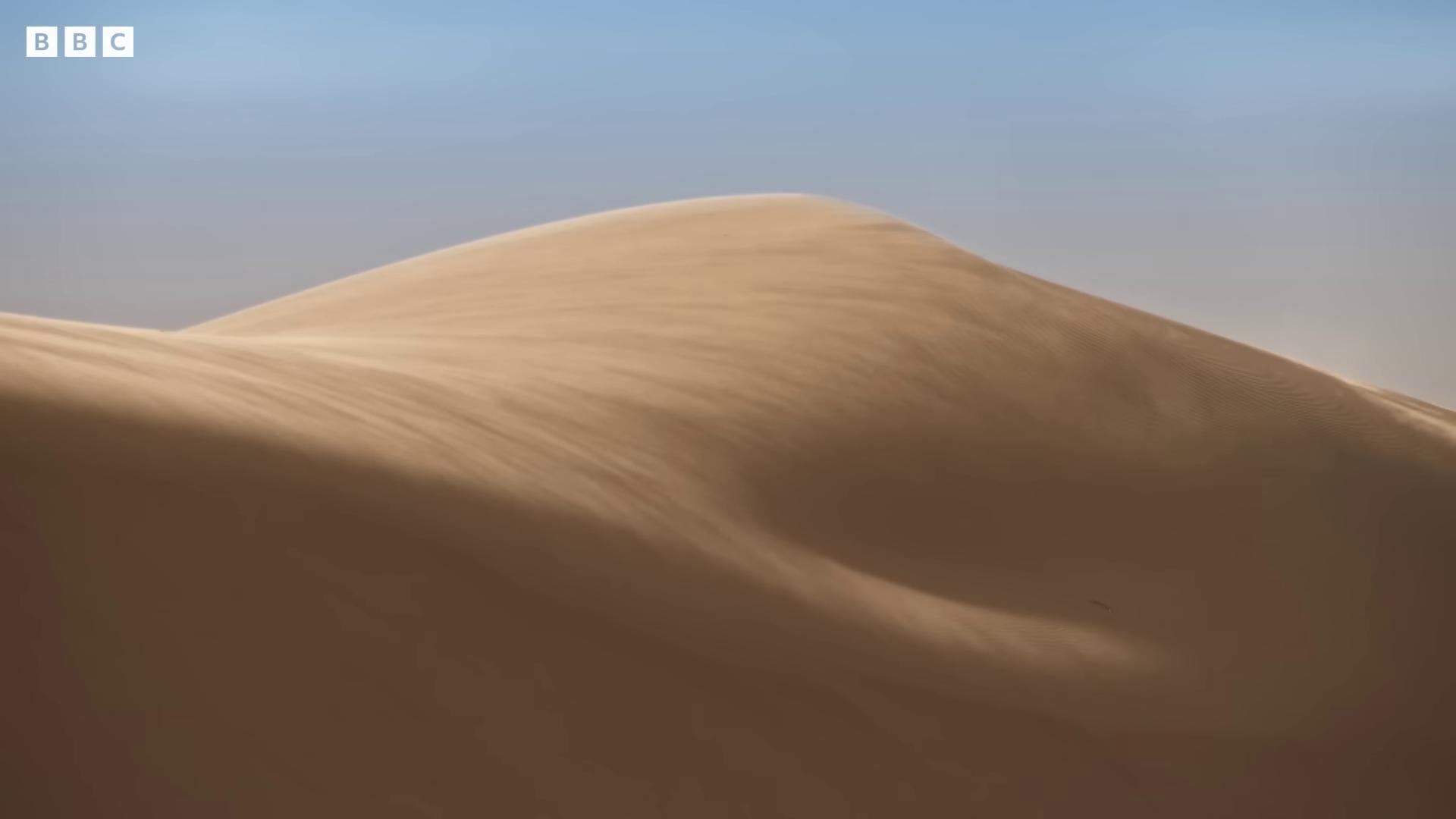 a desert with a blue sky in the background sand dune background sand and desert environment martian sands background background sand dunes film still from movie dune2021 desert environment scene from dune 2 0 2 1 movie still from movie dune majestic dunes dune 2021 sand dune dark desert background barren sands