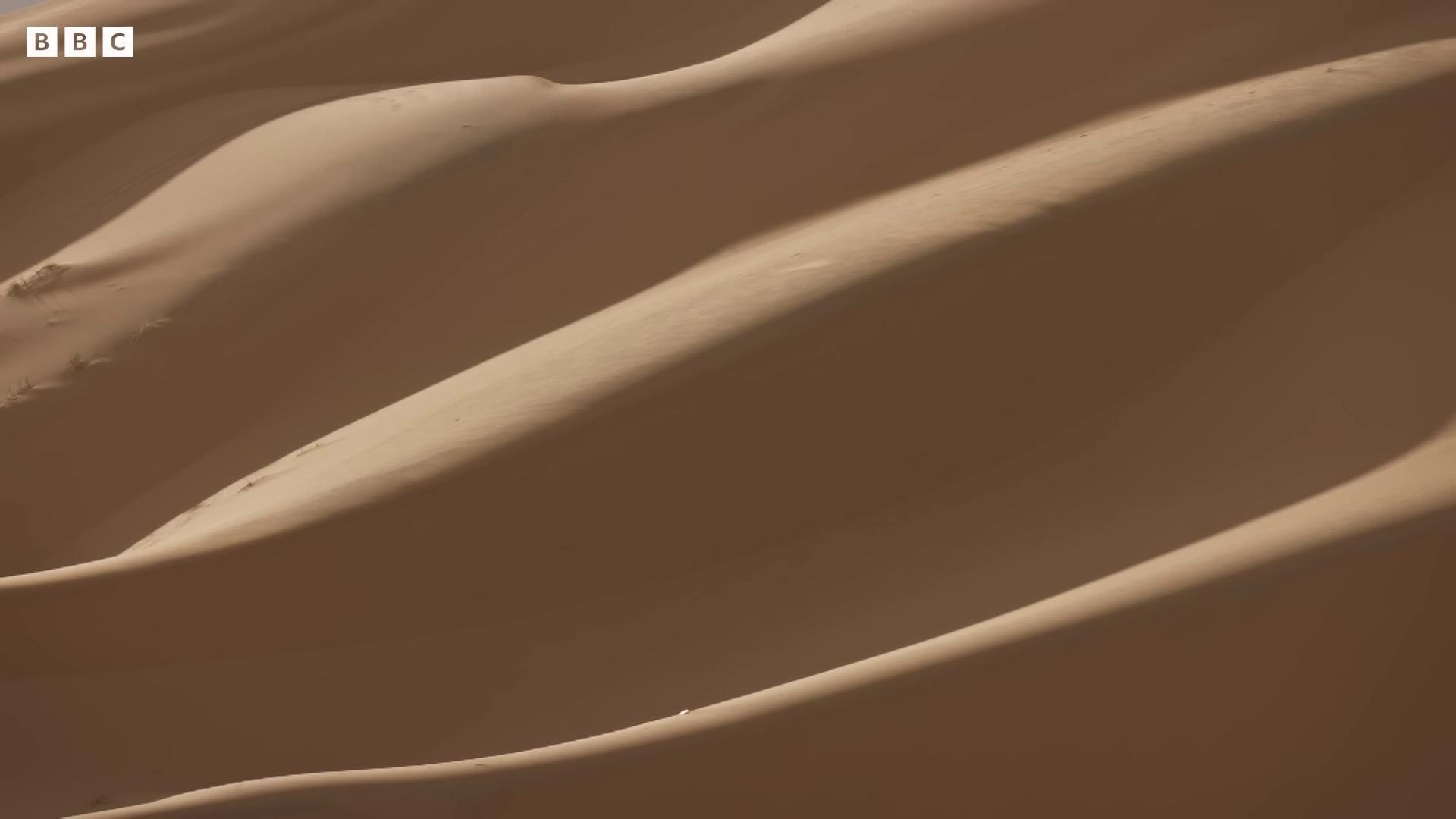 a desert with sand dunes and a few footprints martian sands background sand and desert environment barren sands still from movie dune sahara desert cinematic silk road lanscape dark desert background sand dune background film still from movie dune2021 desert dunes desert environment arrakis majestic dunes background sand dunes