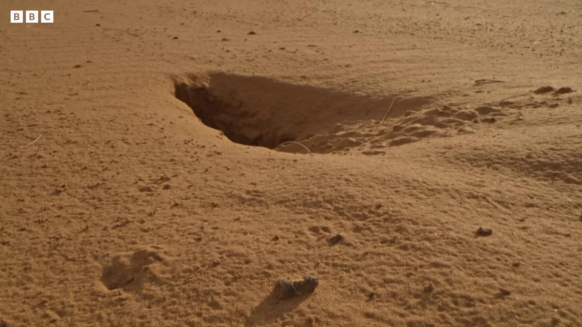 a hole in the sand brown holes thundra ufo crash site sinkholes worm hole crater craters deep sinkhole american soldiers invaded mars abandoned on mars selfie of elon musk on mars holes sinkhole sand piled in corners alien ground meteor impact behind a dinosaur holes in a religious man planet mars