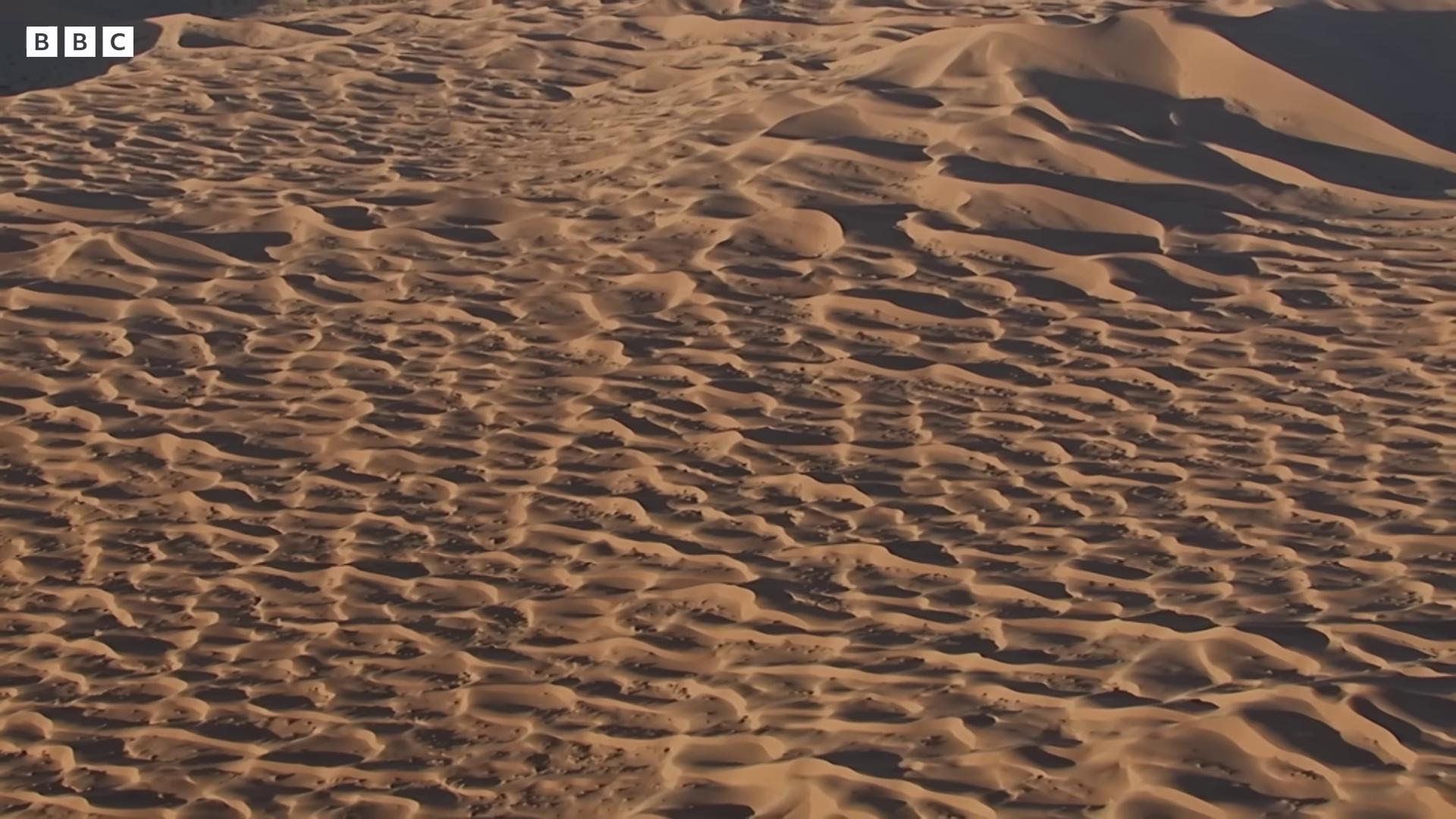 a large sand dune with many tracks in it barren sands cinematic silk road lanscape barren desert landscape dakar rally footage barren dry land dry desert aerial view of an ancient land desert wasteland sahara desert sand desert deep golden sand desert barren landscape aerial footage scene from dune 2 0 2 1 movie dry landscape
