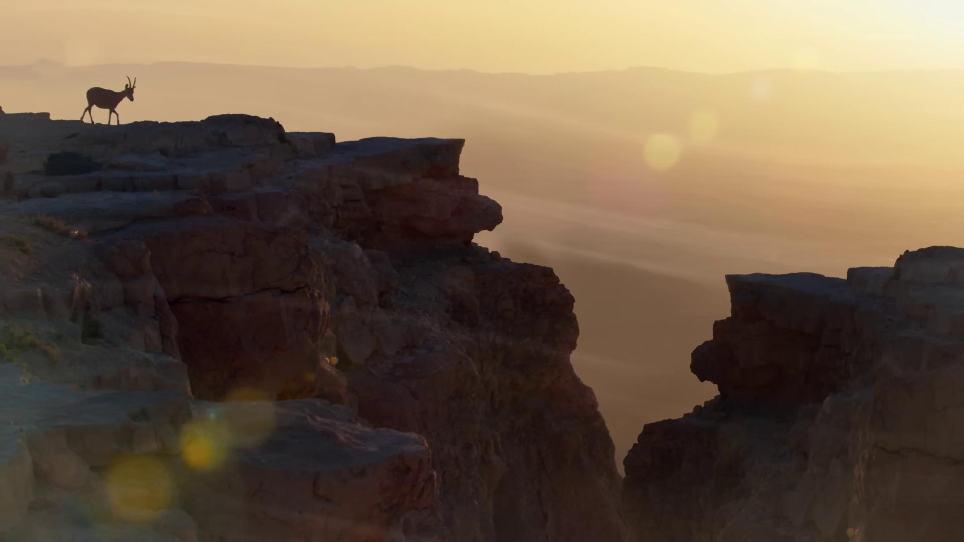 a man standing on top of a mountain anamorphic lens flares unreal engine 5 mars one mission 2 0 2 1 cinematic 4 k framegrab unreal engine 5 renderered unreal engine 5 anamorphic lens flare from a 2 0 1 9 sci fi 8 k movie film still from movie dune2021